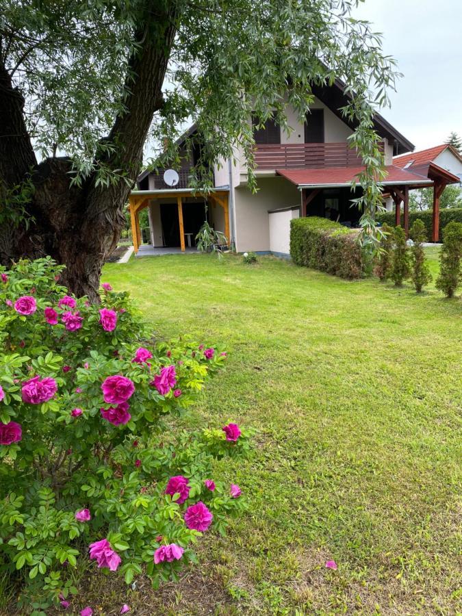 Maria Villa Balatonmáriafürdő エクステリア 写真