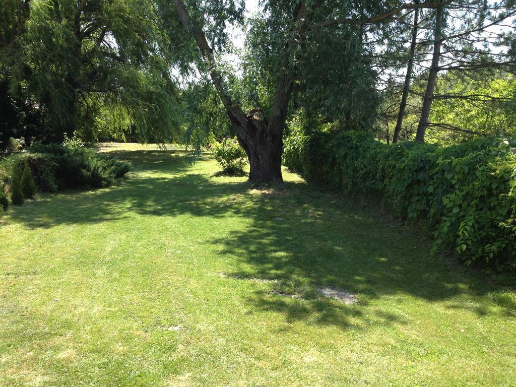 Maria Villa Balatonmáriafürdő 部屋 写真